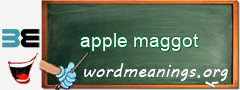 WordMeaning blackboard for apple maggot